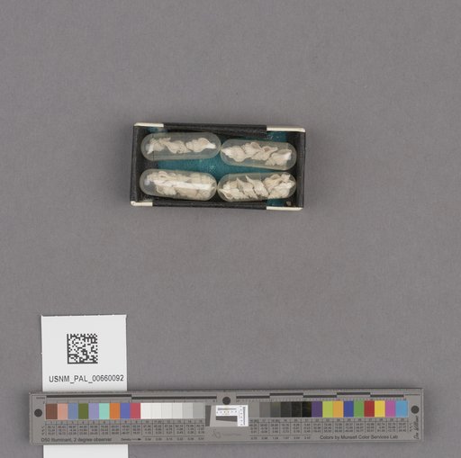 NSF ADBC EPICC TCN