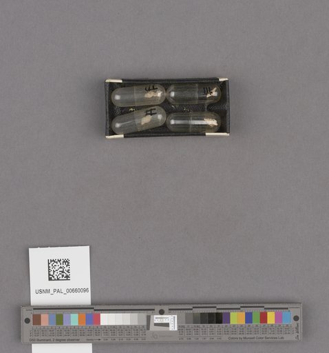 NSF ADBC EPICC TCN