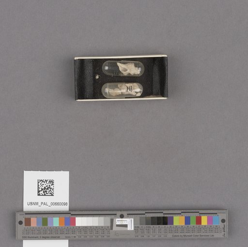 NSF ADBC EPICC TCN