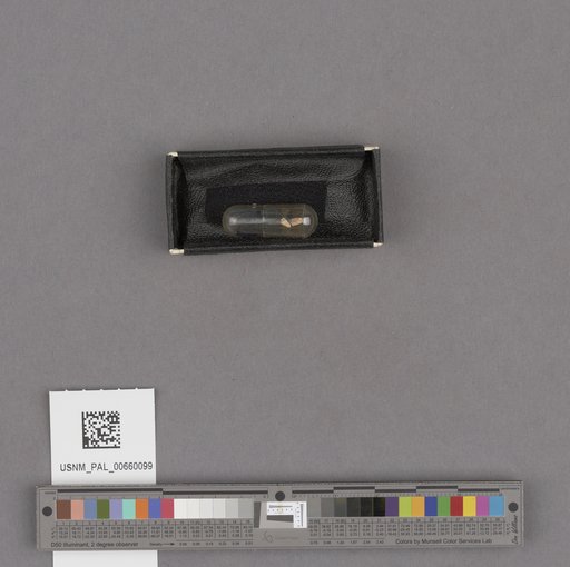 NSF ADBC EPICC TCN