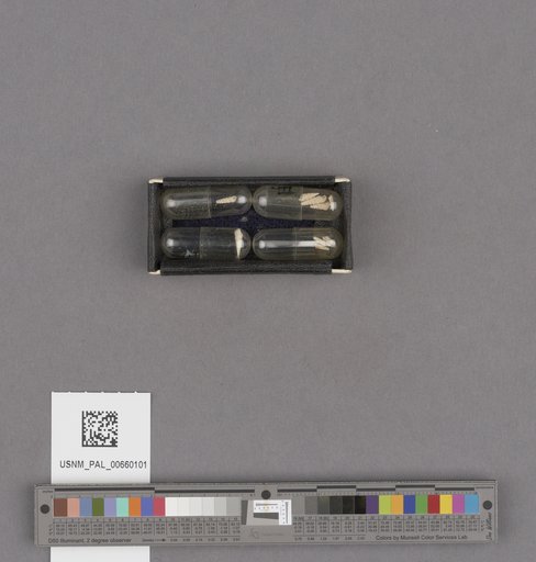 NSF ADBC EPICC TCN