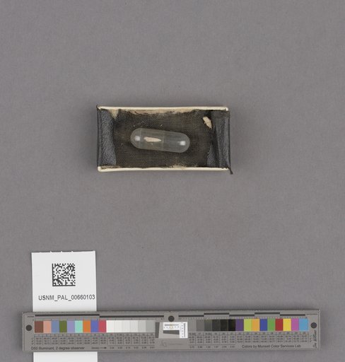 NSF ADBC EPICC TCN