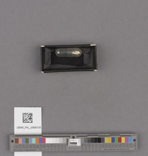 NSF ADBC EPICC TCN