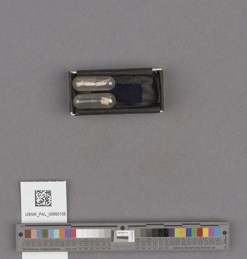 NSF ADBC EPICC TCN