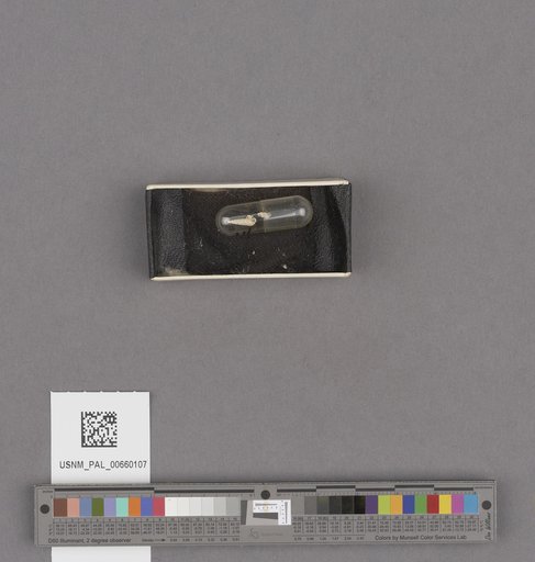 NSF ADBC EPICC TCN