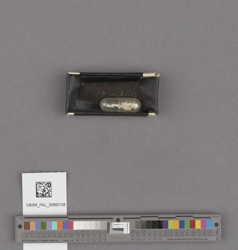 NSF ADBC EPICC TCN