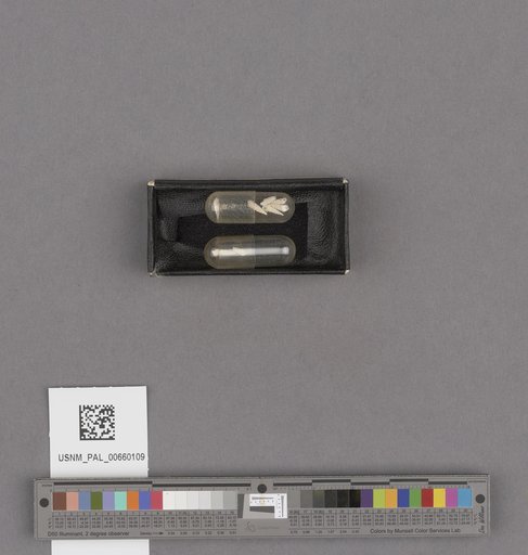 NSF ADBC EPICC TCN