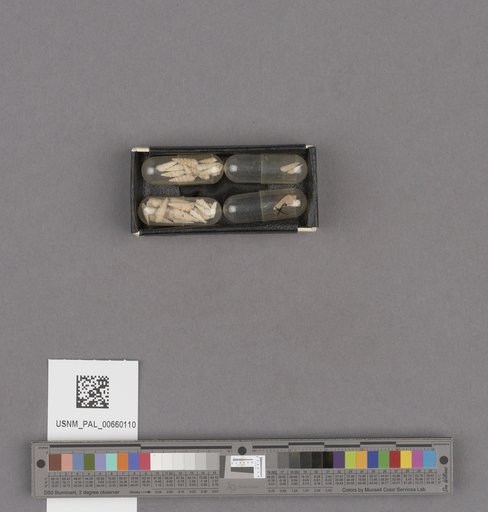 NSF ADBC EPICC TCN