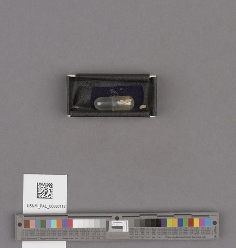 NSF ADBC EPICC TCN
