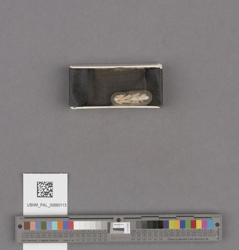 NSF ADBC EPICC TCN