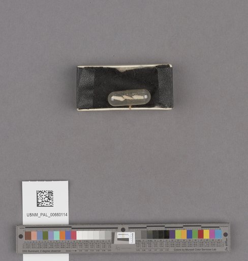 NSF ADBC EPICC TCN