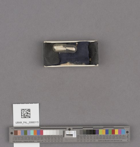 NSF ADBC EPICC TCN