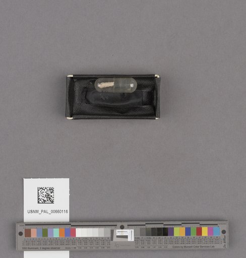 NSF ADBC EPICC TCN