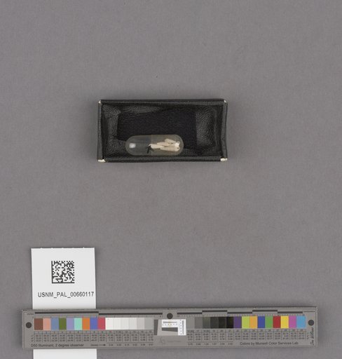 NSF ADBC EPICC TCN