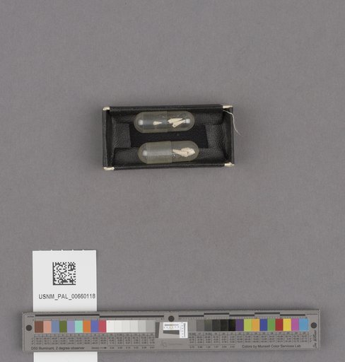 NSF ADBC EPICC TCN