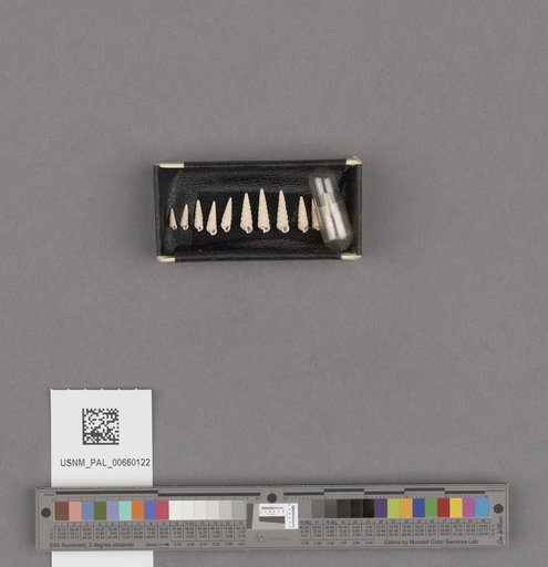 NSF ADBC EPICC TCN