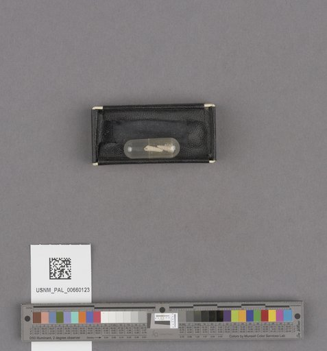 NSF ADBC EPICC TCN