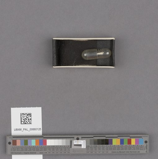 NSF ADBC EPICC TCN