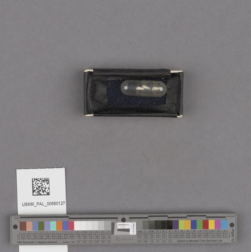 NSF ADBC EPICC TCN