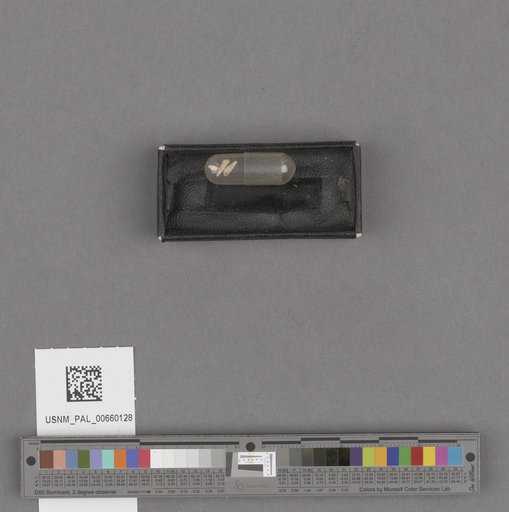 NSF ADBC EPICC TCN