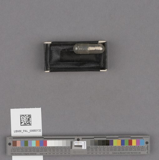 NSF ADBC EPICC TCN