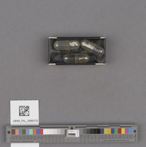 NSF ADBC EPICC TCN