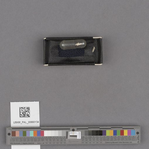 NSF ADBC EPICC TCN