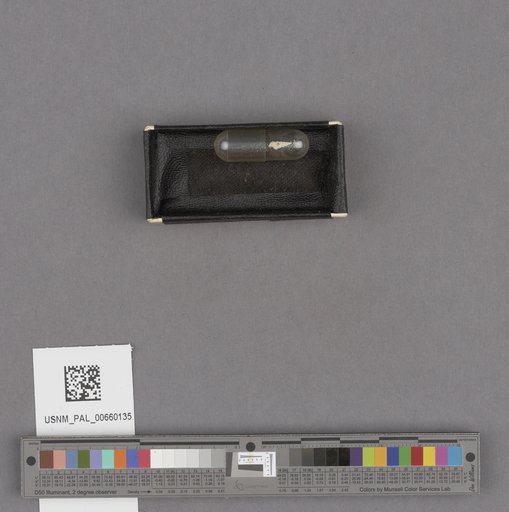 NSF ADBC EPICC TCN