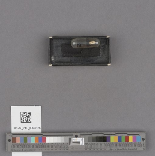 NSF ADBC EPICC TCN