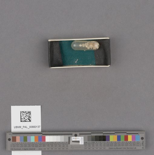 NSF ADBC EPICC TCN