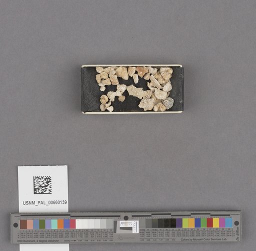 NSF ADBC EPICC TCN