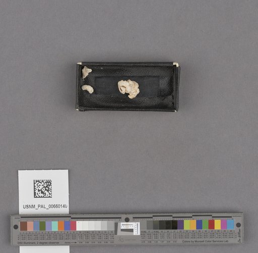 NSF ADBC EPICC TCN
