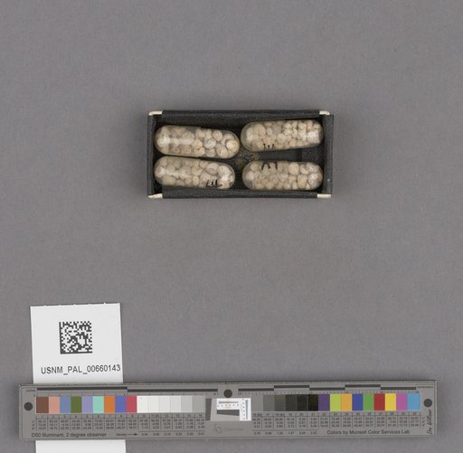 NSF ADBC EPICC TCN