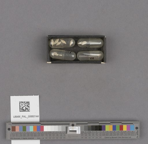 NSF ADBC EPICC TCN