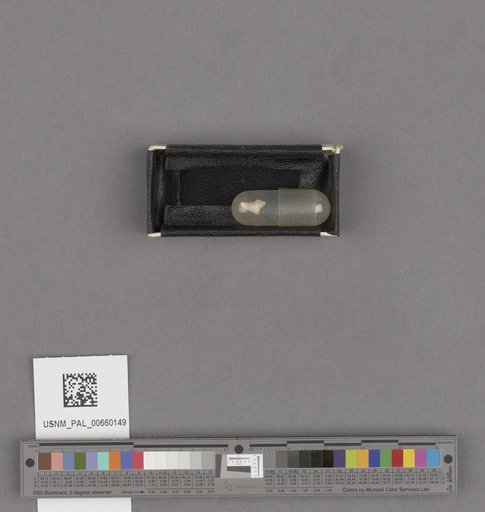 NSF ADBC EPICC TCN
