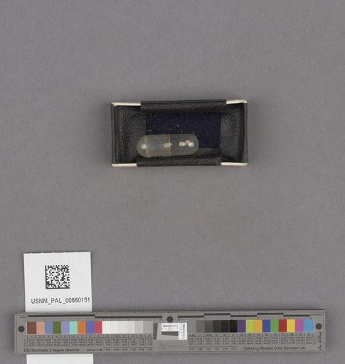 NSF ADBC EPICC TCN