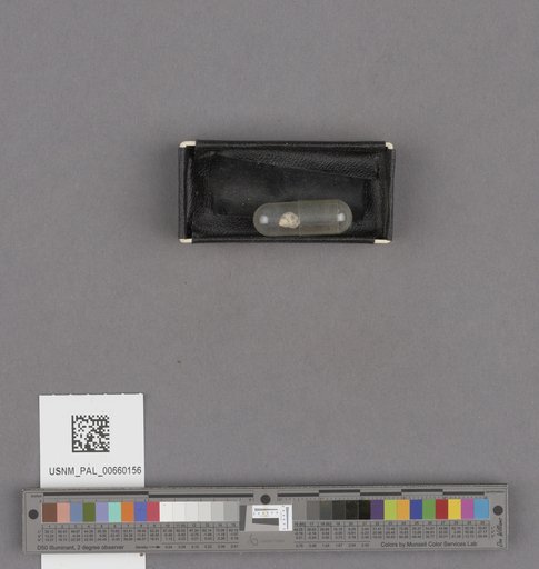 NSF ADBC EPICC TCN