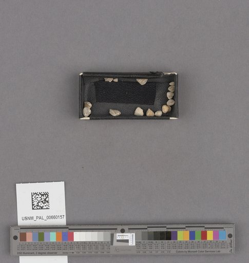 NSF ADBC EPICC TCN