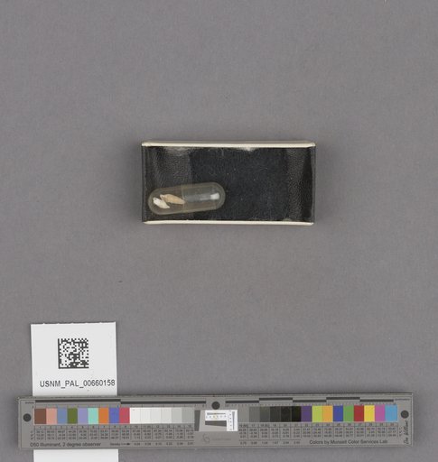 NSF ADBC EPICC TCN