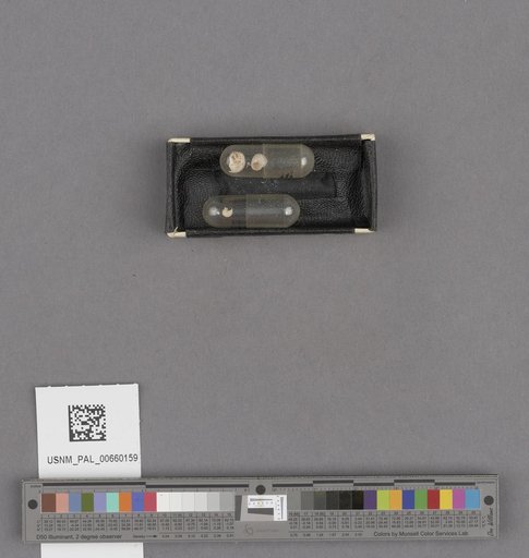 NSF ADBC EPICC TCN