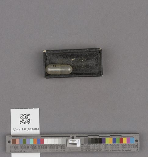 NSF ADBC EPICC TCN