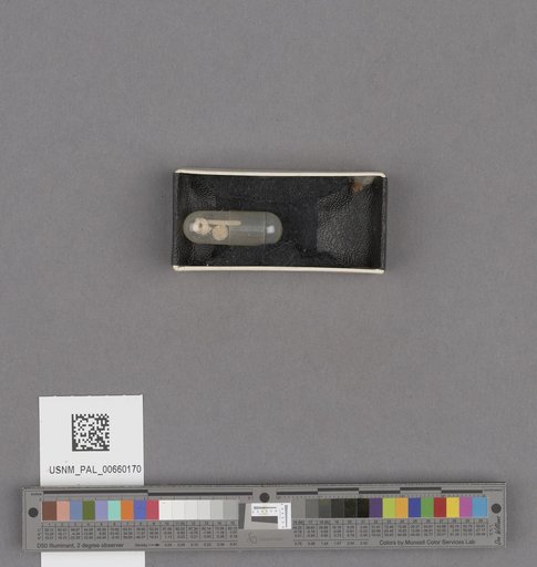 NSF ADBC EPICC TCN