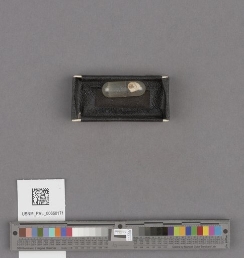 NSF ADBC EPICC TCN