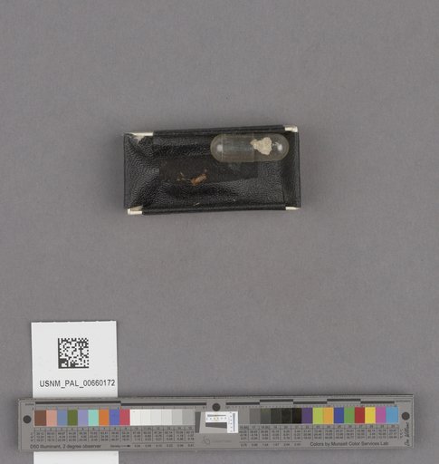 NSF ADBC EPICC TCN