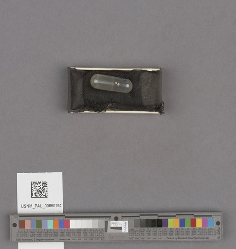 NSF ADBC EPICC TCN