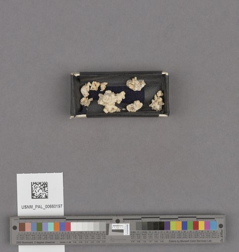 NSF ADBC EPICC TCN