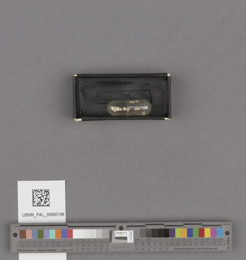 NSF ADBC EPICC TCN