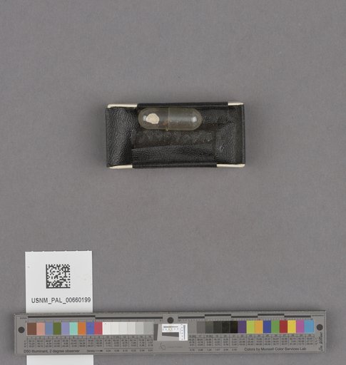 NSF ADBC EPICC TCN