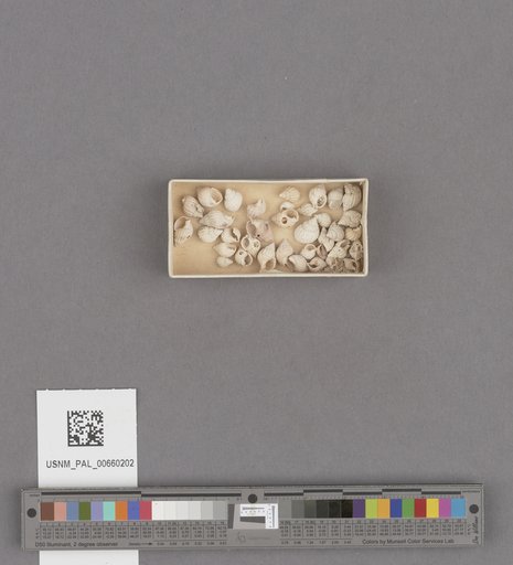 NSF ADBC EPICC TCN