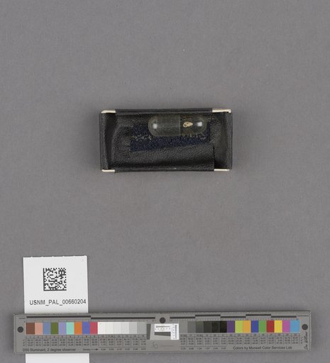 NSF ADBC EPICC TCN